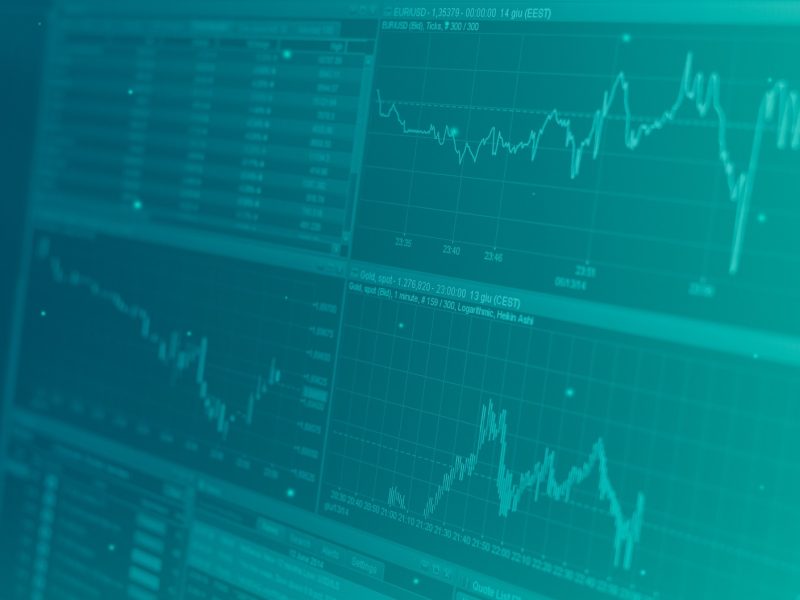 Por qué la Diversificación es la Clave de un Holding Internacional Sustentable